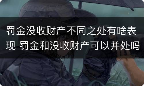 罚金没收财产不同之处有啥表现 罚金和没收财产可以并处吗