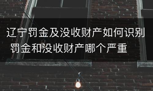 辽宁罚金及没收财产如何识别 罚金和没收财产哪个严重