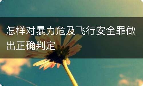 怎样对暴力危及飞行安全罪做出正确判定