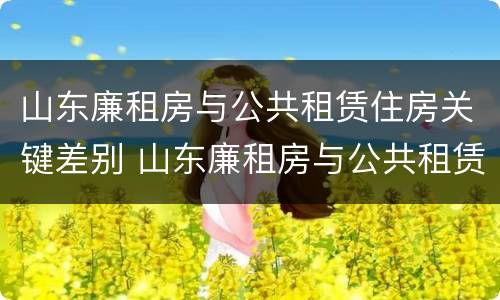 山东廉租房与公共租赁住房关键差别 山东廉租房与公共租赁住房关键差别是什么