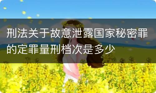刑法关于故意泄露国家秘密罪的定罪量刑档次是多少