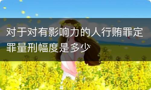 对于对有影响力的人行贿罪定罪量刑幅度是多少