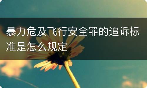 暴力危及飞行安全罪的追诉标准是怎么规定
