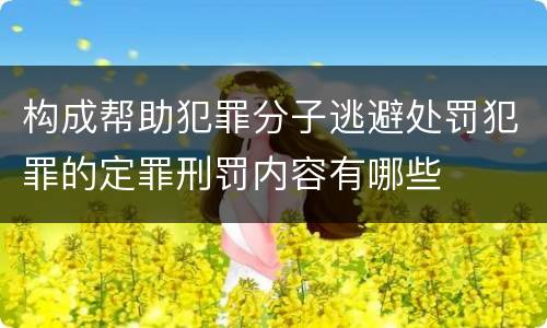 构成帮助犯罪分子逃避处罚犯罪的定罪刑罚内容有哪些