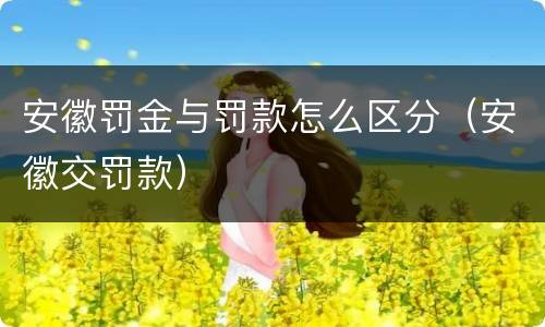 安徽罚金与罚款怎么区分（安徽交罚款）