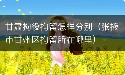 甘肃拘役拘留怎样分别（张掖市甘州区拘留所在哪里）