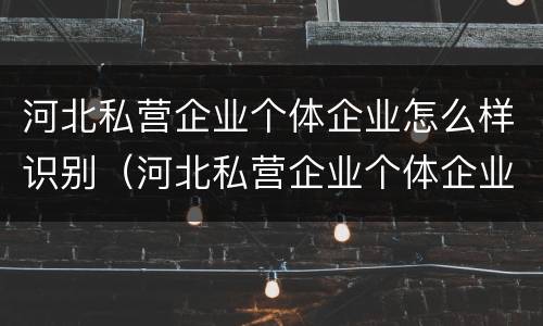 河北私营企业个体企业怎么样识别（河北私营企业个体企业怎么样识别的）