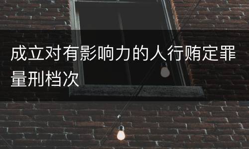 成立对有影响力的人行贿定罪量刑档次