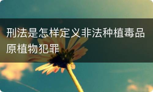 刑法是怎样定义非法种植毒品原植物犯罪