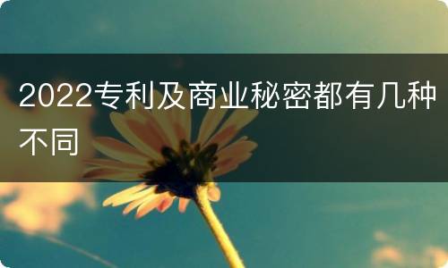 2022专利及商业秘密都有几种不同