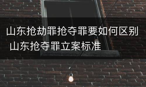 山东抢劫罪抢夺罪要如何区别 山东抢夺罪立案标准