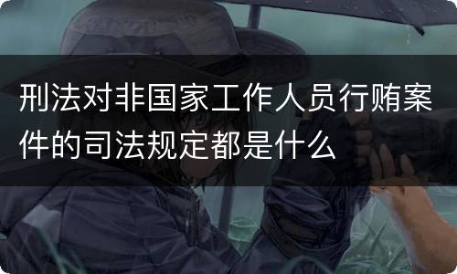 刑法对非国家工作人员行贿案件的司法规定都是什么