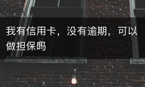 我有信用卡，没有逾期，可以做担保吗