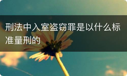刑法中入室盗窃罪是以什么标准量刑的