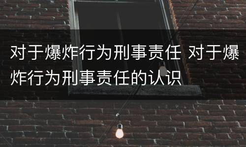 对于爆炸行为刑事责任 对于爆炸行为刑事责任的认识