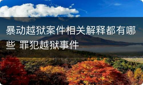 暴动越狱案件相关解释都有哪些 罪犯越狱事件