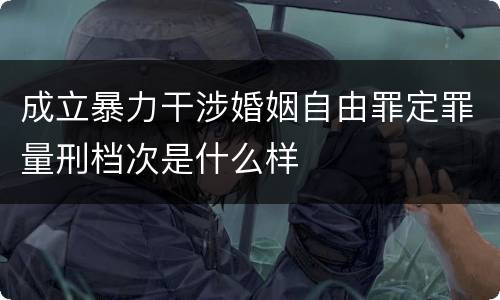 成立暴力干涉婚姻自由罪定罪量刑档次是什么样