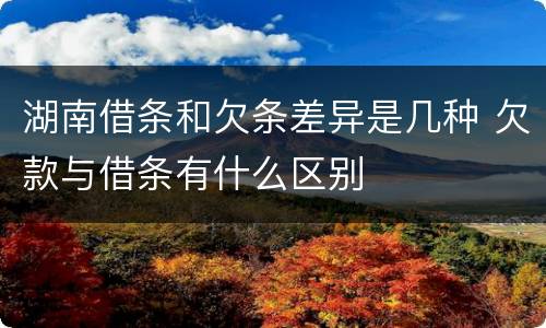 湖南借条和欠条差异是几种 欠款与借条有什么区别