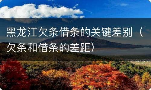 黑龙江欠条借条的关键差别（欠条和借条的差距）
