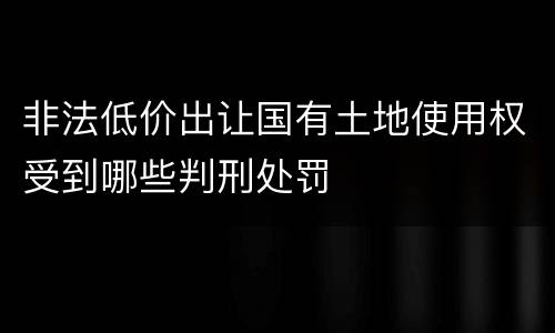 非法低价出让国有土地使用权受到哪些判刑处罚