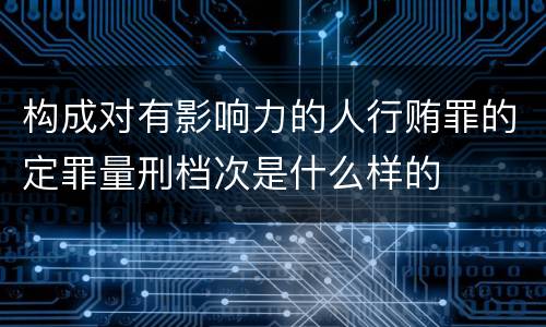 构成对有影响力的人行贿罪的定罪量刑档次是什么样的