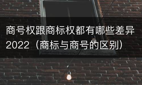 商号权跟商标权都有哪些差异2022（商标与商号的区别）