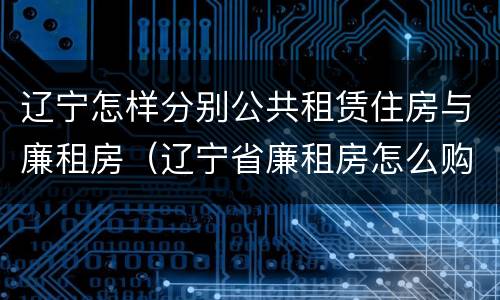 辽宁怎样分别公共租赁住房与廉租房（辽宁省廉租房怎么购买产权）