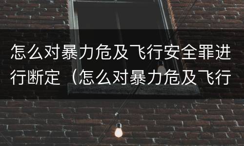 怎么对暴力危及飞行安全罪进行断定（怎么对暴力危及飞行安全罪进行断定和处罚）