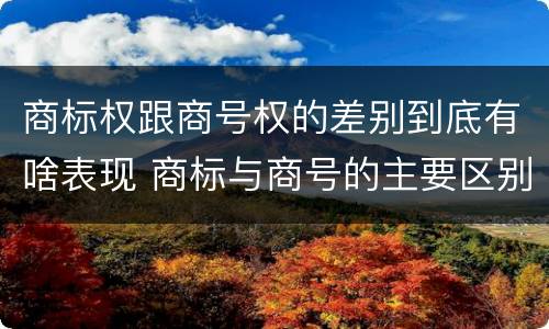 商标权跟商号权的差别到底有啥表现 商标与商号的主要区别表现