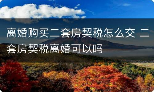 离婚购买二套房契税怎么交 二套房契税离婚可以吗