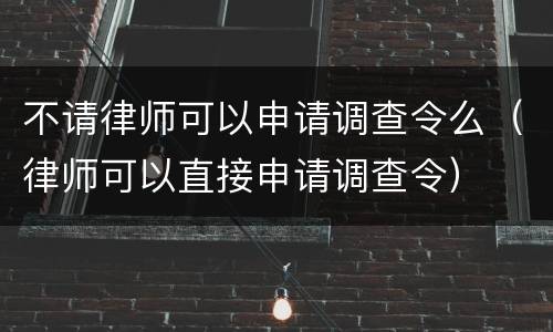 不请律师可以申请调查令么（律师可以直接申请调查令）