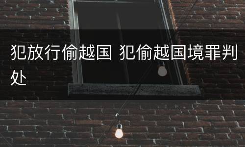 犯放行偷越国 犯偷越国境罪判处