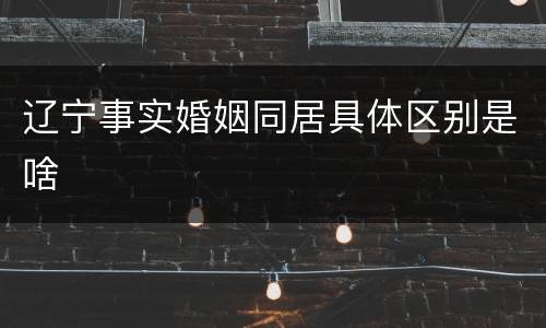 辽宁事实婚姻同居具体区别是啥