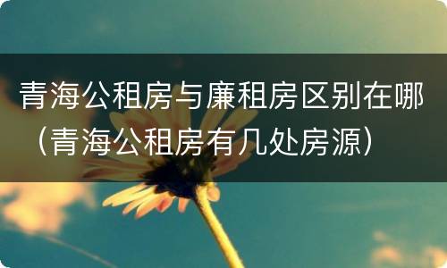 青海公租房与廉租房区别在哪（青海公租房有几处房源）