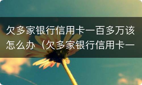 欠多家银行信用卡一百多万该怎么办（欠多家银行信用卡一百多万该怎么办理）