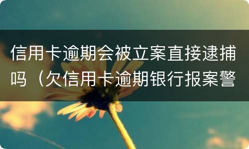 信用卡逾期会被立案直接逮捕吗（欠信用卡逾期银行报案警察会抓人吗）