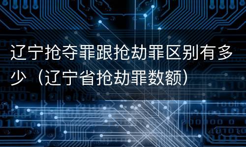 辽宁抢夺罪跟抢劫罪区别有多少（辽宁省抢劫罪数额）