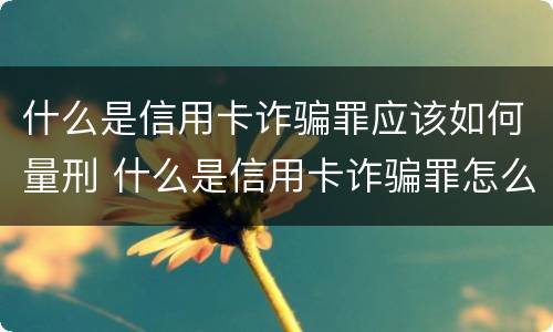 什么是信用卡诈骗罪应该如何量刑 什么是信用卡诈骗罪怎么处罚