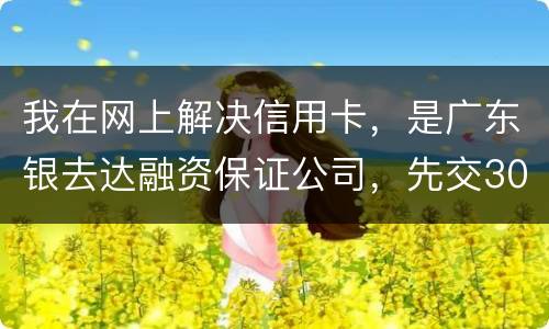 我在网上解决信用卡，是广东银去达融资保证公司，先交300能否解决