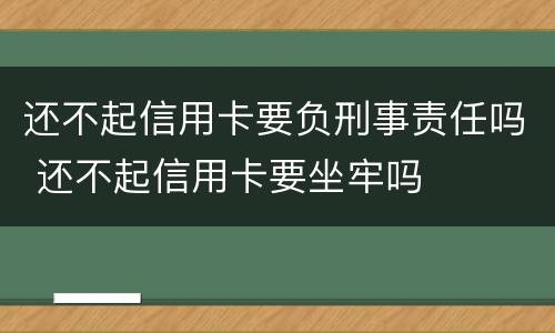 还不起信用卡要负刑事责任吗 还不起信用卡要坐牢吗