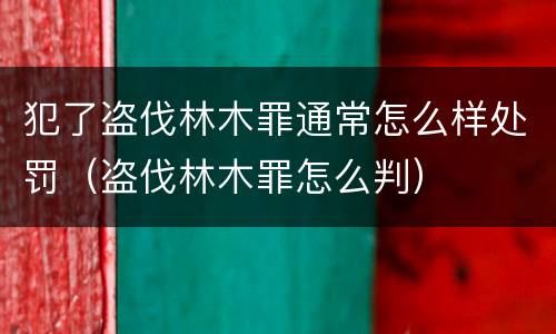 犯了盗伐林木罪通常怎么样处罚（盗伐林木罪怎么判）