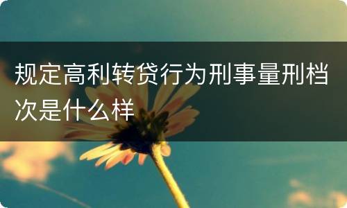 规定高利转贷行为刑事量刑档次是什么样
