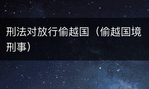 刑法对放行偷越国（偷越国境刑事）