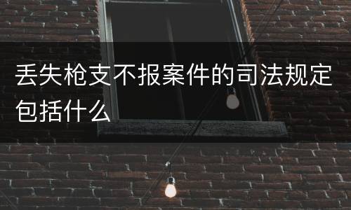 丢失枪支不报案件的司法规定包括什么