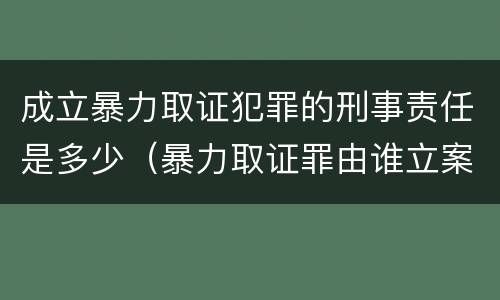 成立暴力取证犯罪的刑事责任是多少（暴力取证罪由谁立案侦查）
