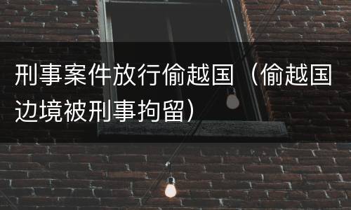 刑事案件放行偷越国（偷越国边境被刑事拘留）