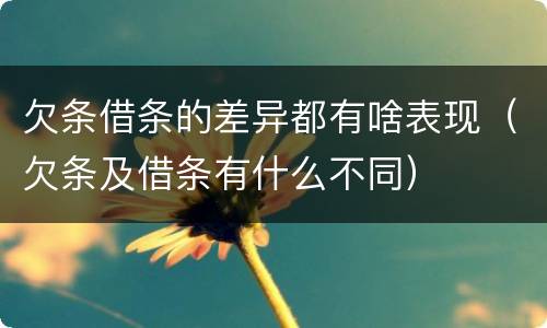欠条借条的差异都有啥表现（欠条及借条有什么不同）
