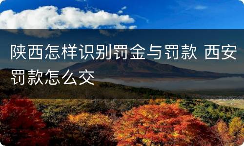 陕西怎样识别罚金与罚款 西安罚款怎么交