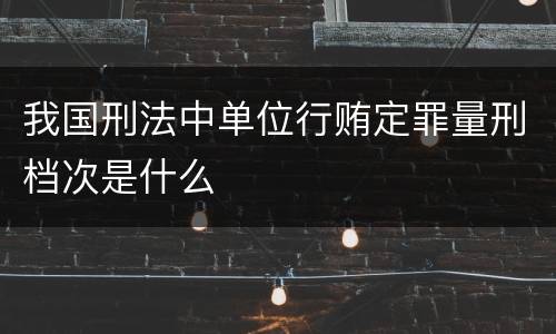 我国刑法中单位行贿定罪量刑档次是什么