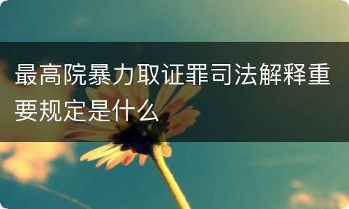 最高院暴力取证罪司法解释重要规定是什么